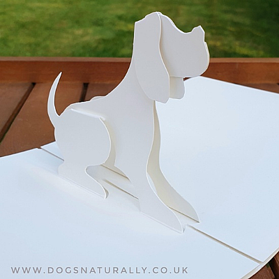 White 3D Pop Up Dog Greetings Card